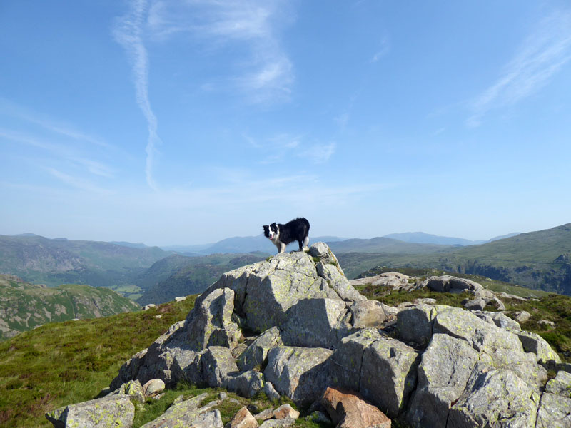 Molly Sergeant's Crag